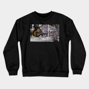 Red Squirrel on a Fence. Crewneck Sweatshirt